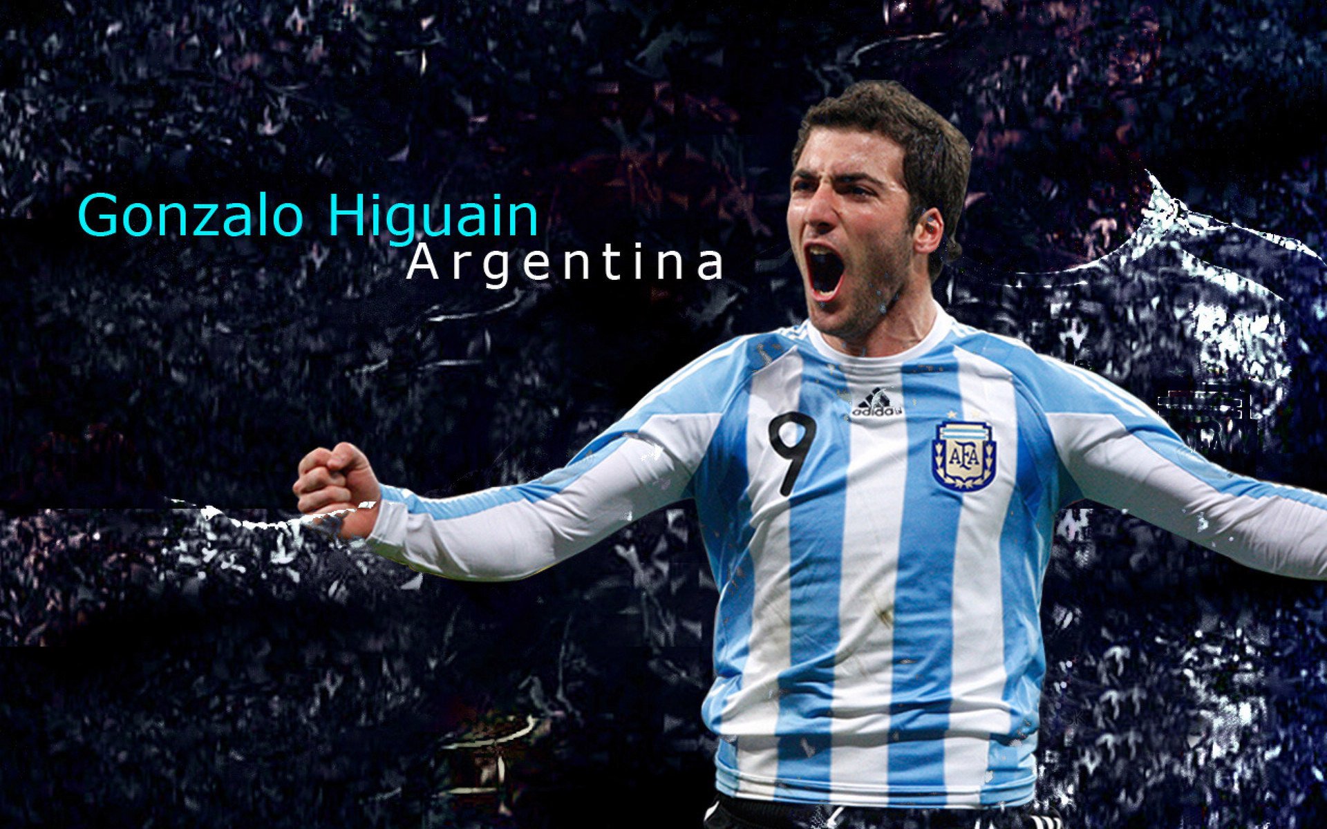 赛季最萌球员：新晋“炙手可热”的小可爱